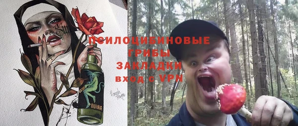ГАЛЛЮЦИНОГЕННЫЕ ГРИБЫ Алзамай