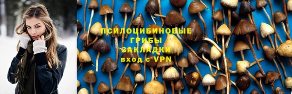 ГАЛЛЮЦИНОГЕННЫЕ ГРИБЫ Алзамай